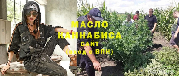 амф Новозыбков