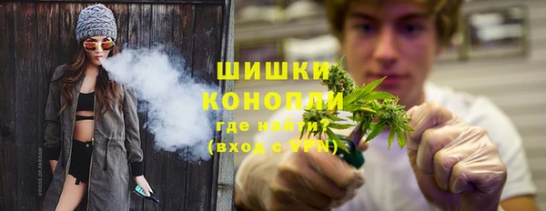 амф Новозыбков
