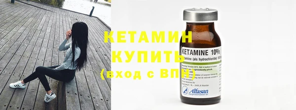амф Новозыбков