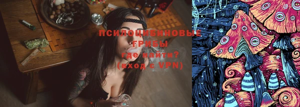 амф Новозыбков