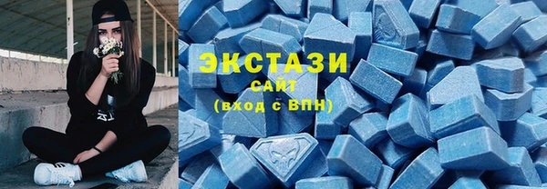 амф Новозыбков