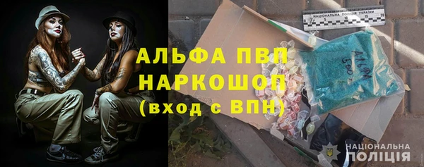 амф Новозыбков