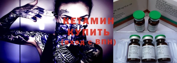 амф Новозыбков